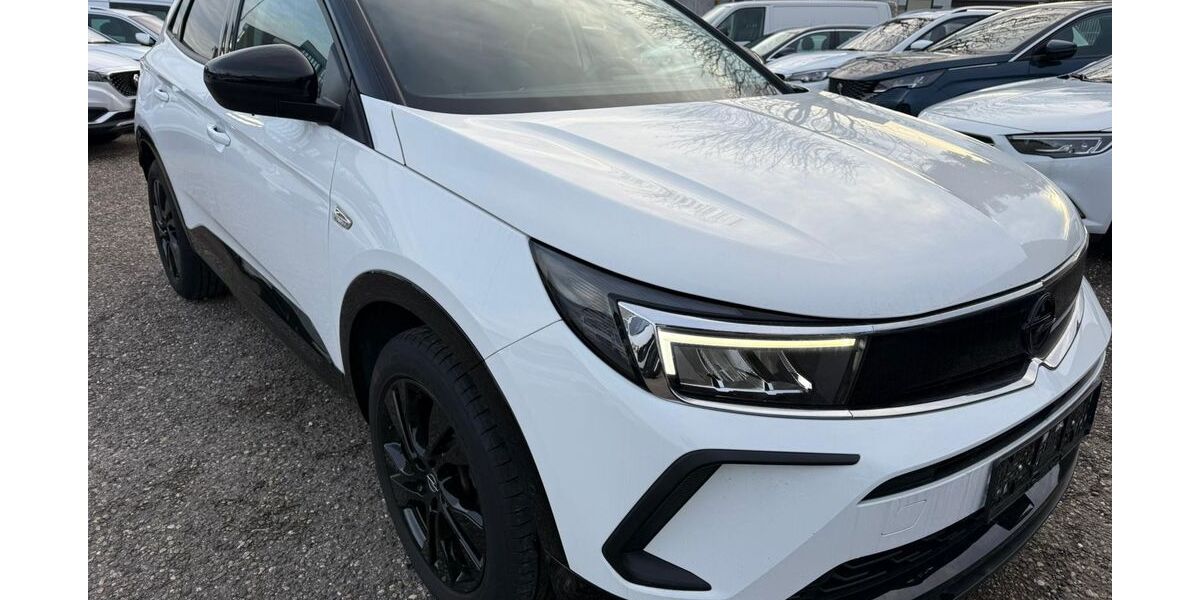 Opel Grandland (X) 124.431 km 16.065 &euro; Heidelberg 69123