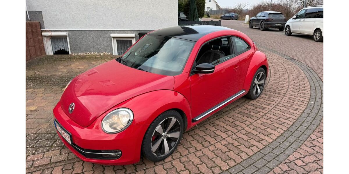 VW Beetle 150.000 km 5.999 &euro; Bad Dürkheim 67098