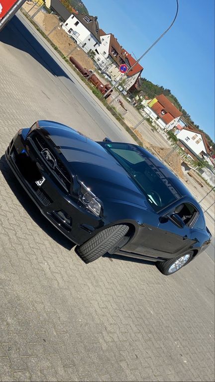 Mustang