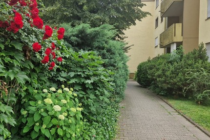 Gepflegte 3-Zimmer-Eigentumswohnung in attraktiver Wohnlage von Weinheim - Wohnung Weinheim | Angebot:27022818