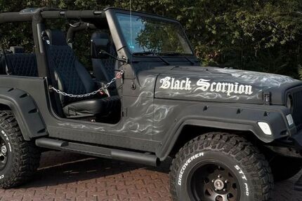 Jeep Wrangler 161.000 km 26.900 &euro; WIESLOCH 69168