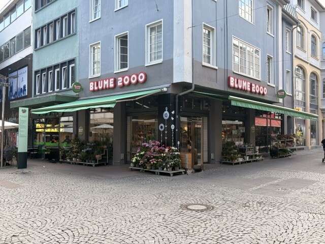 Gewerbeobjekt Worms - 4.200&euro; | Angebot:27129932