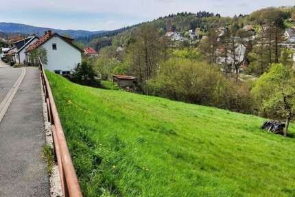 Grundstück Schriesheim - 220.000&euro; | Angebot:25452019