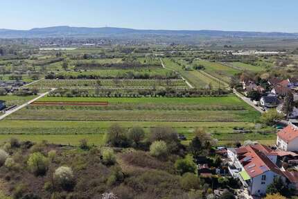 Grundstück Weisenheim am Sand - 147.000&euro; | Angebot:24513585