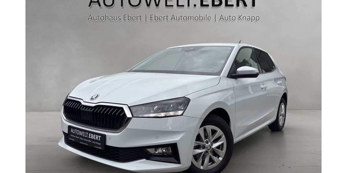 Skoda Fabia 46.400 km 16.890 &euro; Heidelberg 69123