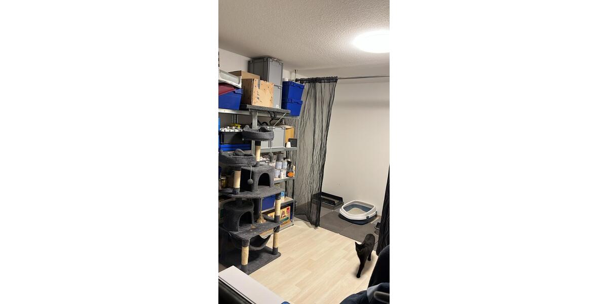 Etagenwohnung Ludwigshafen am Rhein Ludwigshafen-Hemshof - 3 Zimmer, 85 m&sup2;, 255.000&euro; | Angebot:26294810