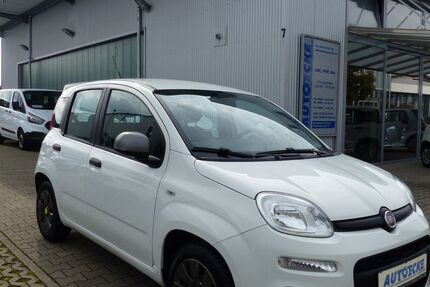 Fiat Panda 70.000 km 5.500 &euro; Hockenheim 68766
