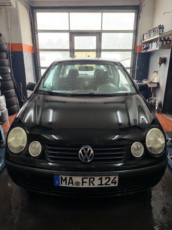 Polo