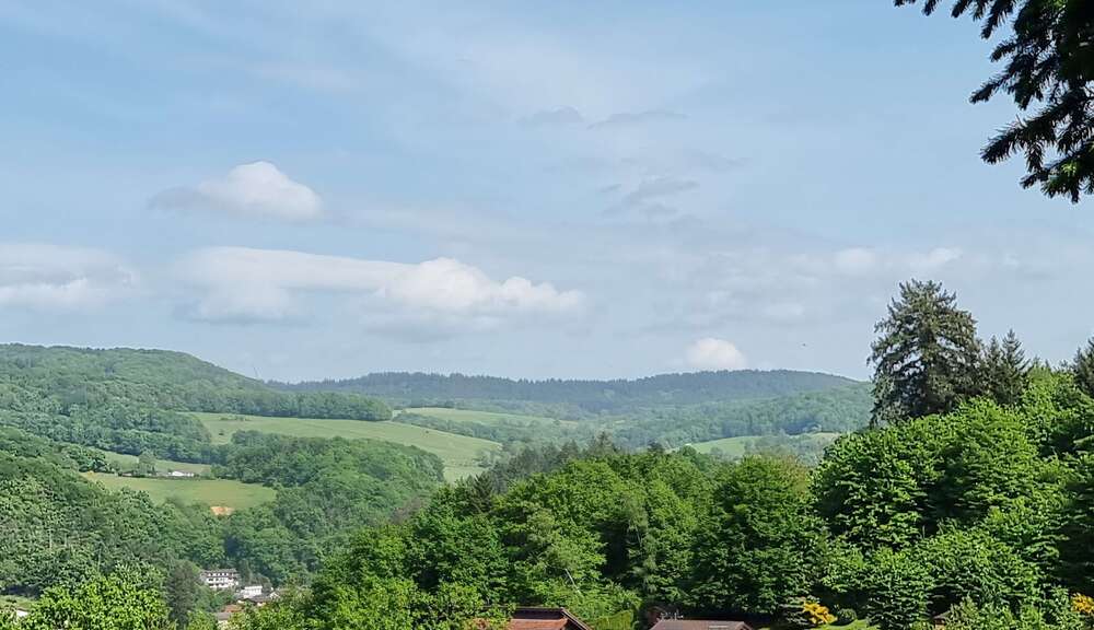 Grundstück zu verkaufen in Gorxheimertal 340.000 € 1073 m² zimmer