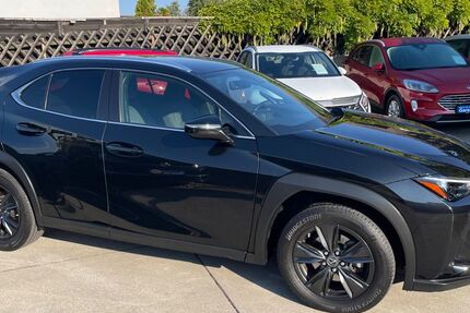 Lexus UX 30.000 km 28.800 € Neuhofen 67141