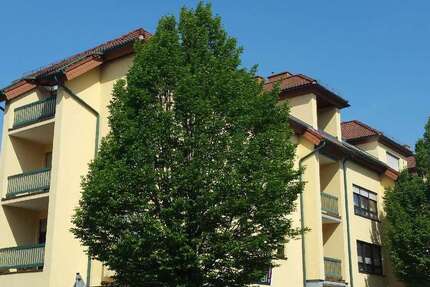 Wohnung Neustadt Diedesfeld - 1.5 Zimmer, 38 m&sup2;, 540&euro; | Angebot:26977947