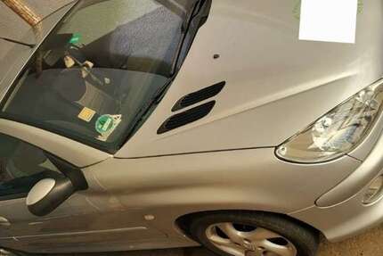 Peugeot 206 260.000 km 2.200 &euro; Westhofen 67593