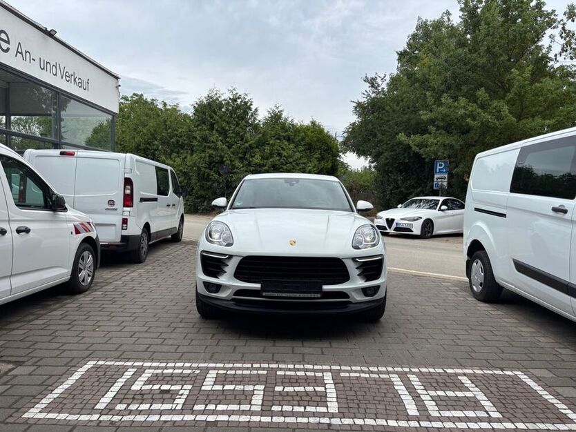 Macan