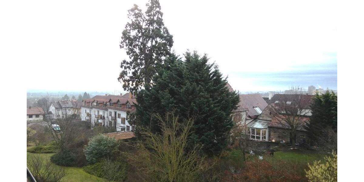 Etagenwohnung Neustadt Haardt - 3 Zimmer, 86 m&sup2;, 750&euro; | Angebot:25214192