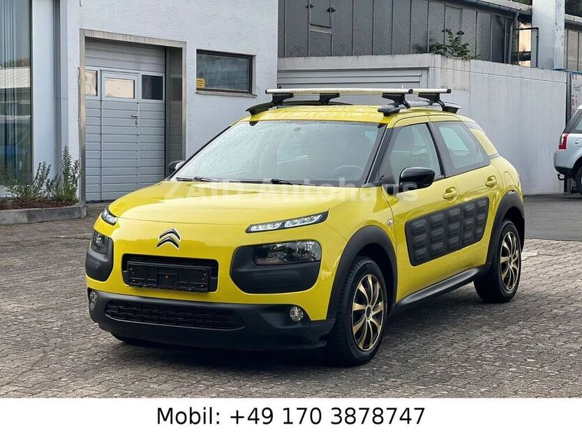 C4 Cactus