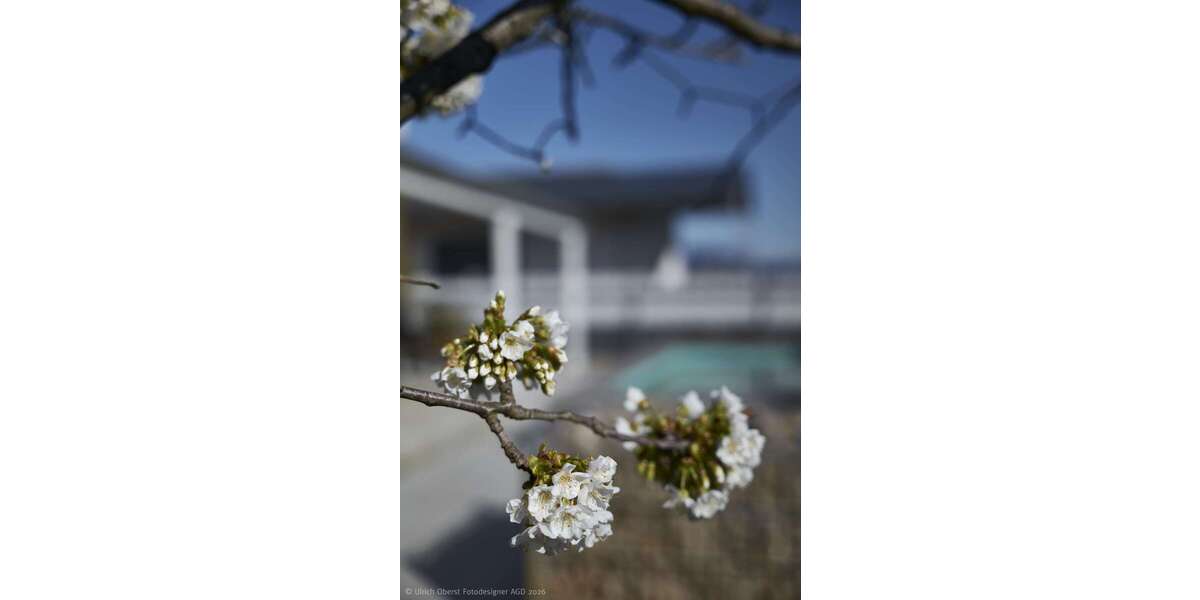 Einfamilienhaus Speyer - 4.5 Zimmer, 177 m&sup2;, 975.000&euro; | Angebot:26295604