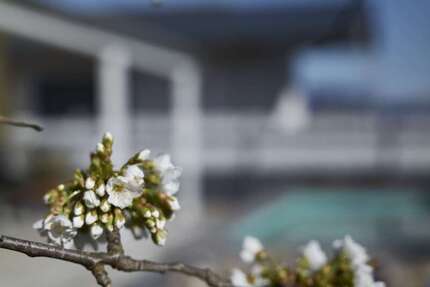 Haus Speyer - 4.5 Zimmer, 177 m&sup2;, 975.000&euro; | Angebot:26295604