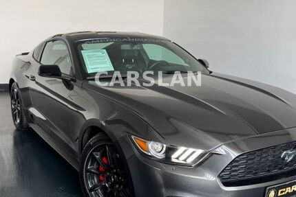Ford Mustang 111.000 km 21.498 &euro; Worms 67547
