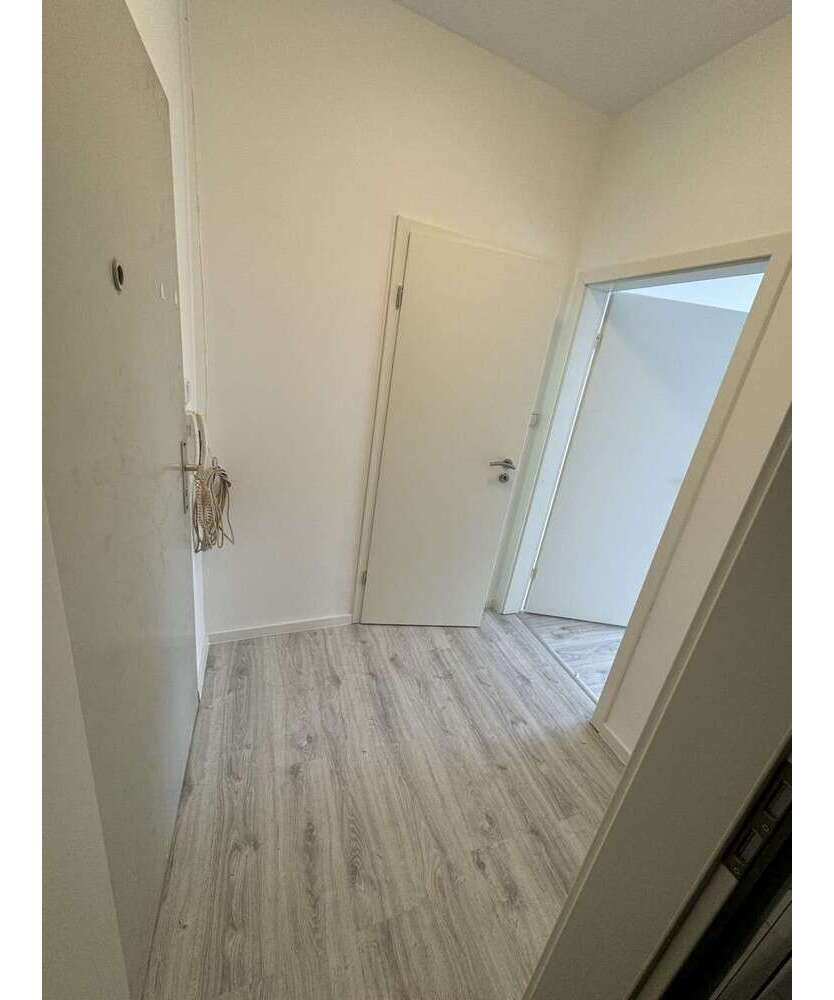 Wohnung zum Mieten in Ludwigshafen 550 € 38 m²