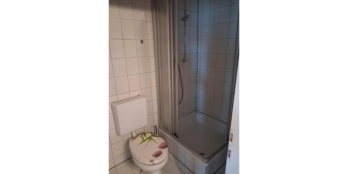 Etagenwohnung Ludwigshafen am Rhein Ludwigshafen-Hemshof - 1 Zimmer, 60 m&sup2;, 850&euro; | Angebot:26254701