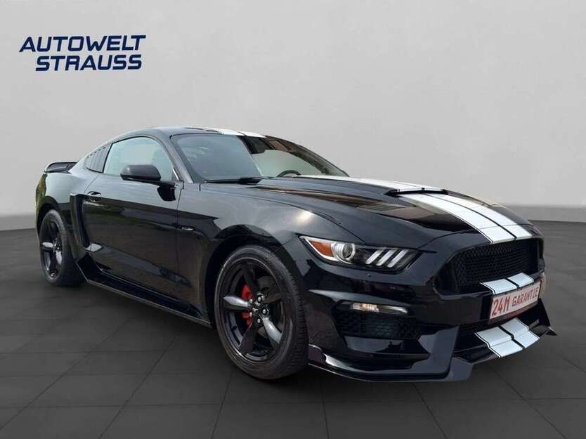 Mustang