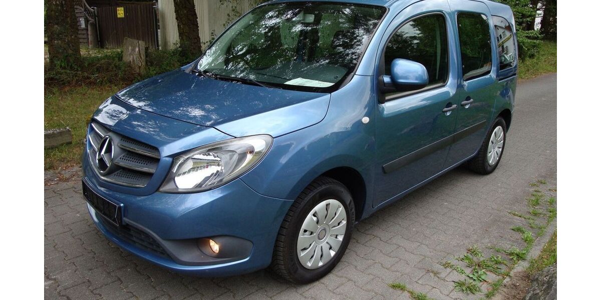 Mercedes-Benz Citan 75.600 km 14.999 &euro; Lorsch 64653