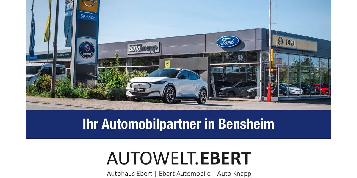 Opel Grandland (X) 10.890 km 23.890 &euro; Bensheim 64625