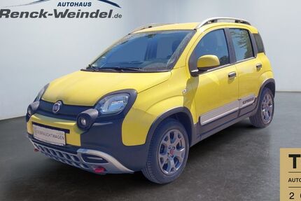 Fiat Panda 59.784 km 11.889 &euro; Speyer 67346