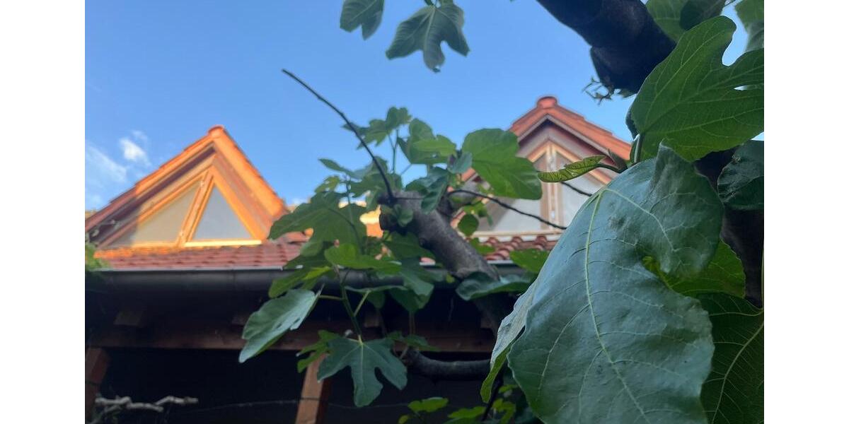 Einfamilienhaus Speyer - 629.000&euro; | Angebot:26169105