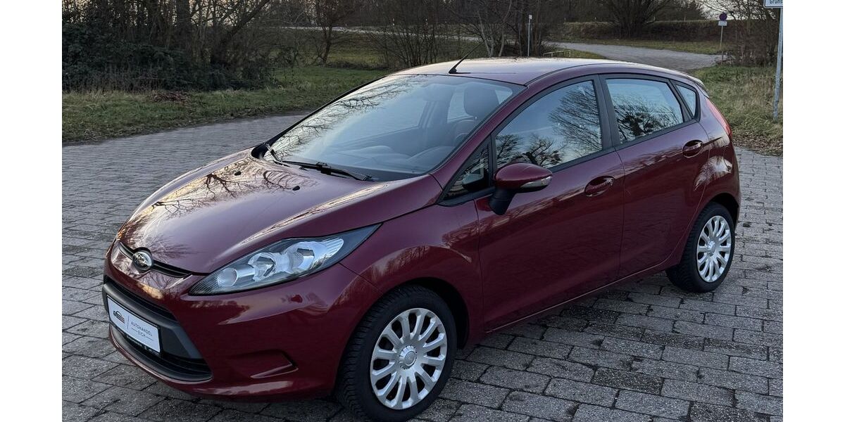 Ford Fiesta 89.900 km 5.490 &euro; Eich 67575