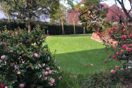 Haus Heidelberg Handschuhsheim - 8 Zimmer, 196 m&sup2;, 3.800&euro; | Angebot:22748695