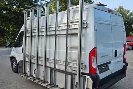 Fiat Ducato 294.379 km 8.400 &euro; Lachen-Speyerdorf 67435