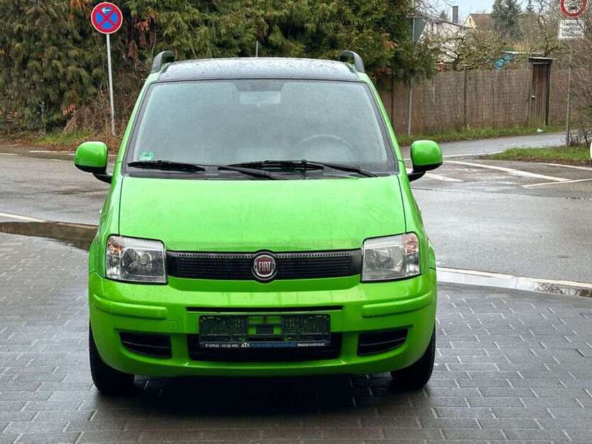 Panda