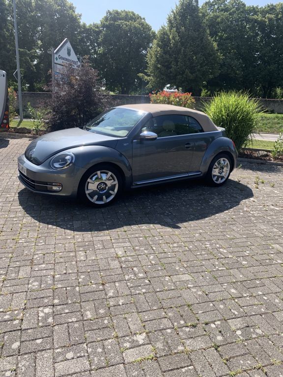 Beetle