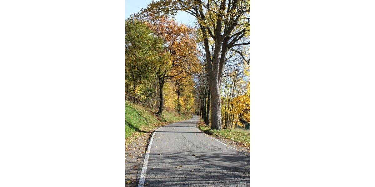 Grundstück Wald-Michelbach Kocherbach - 118.000&euro; | Angebot:23956533