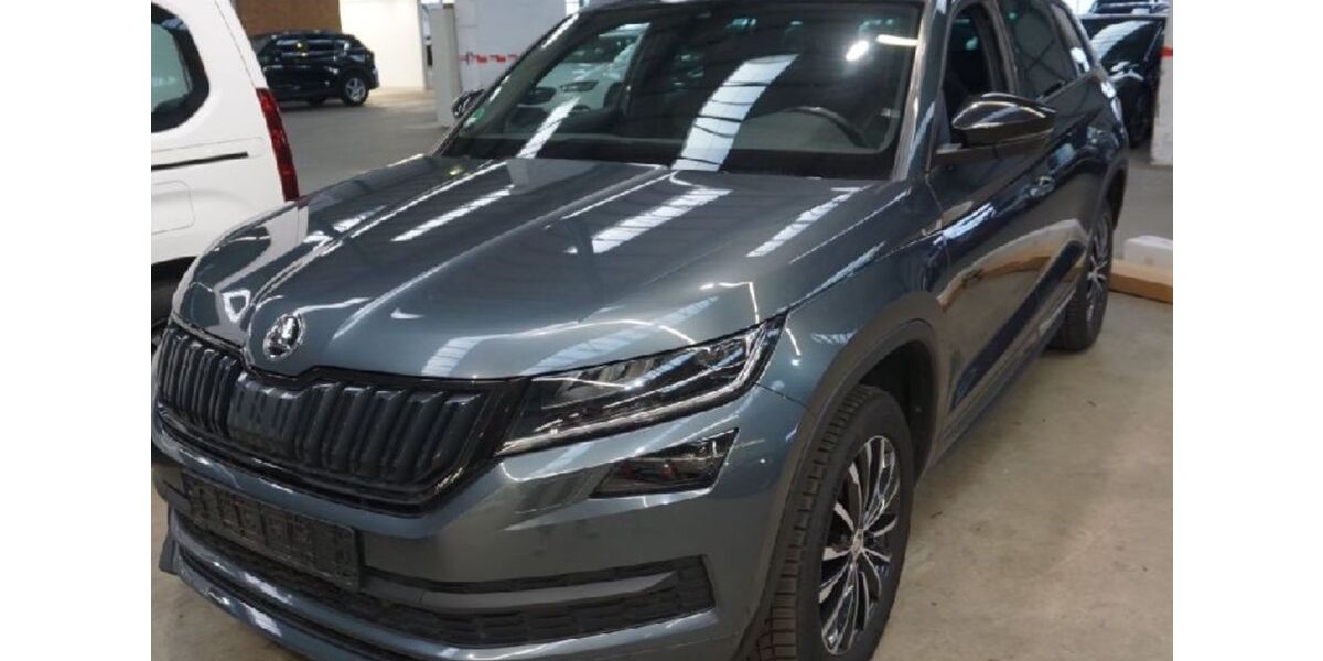 Skoda Kodiaq 194.000 km 21.777 &euro; Heidelberg 69123