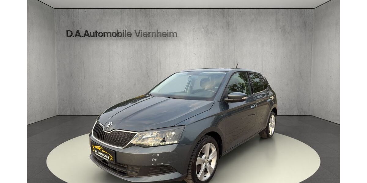 Skoda Fabia 171.000 km 6.990 &euro; Viernheim 68519