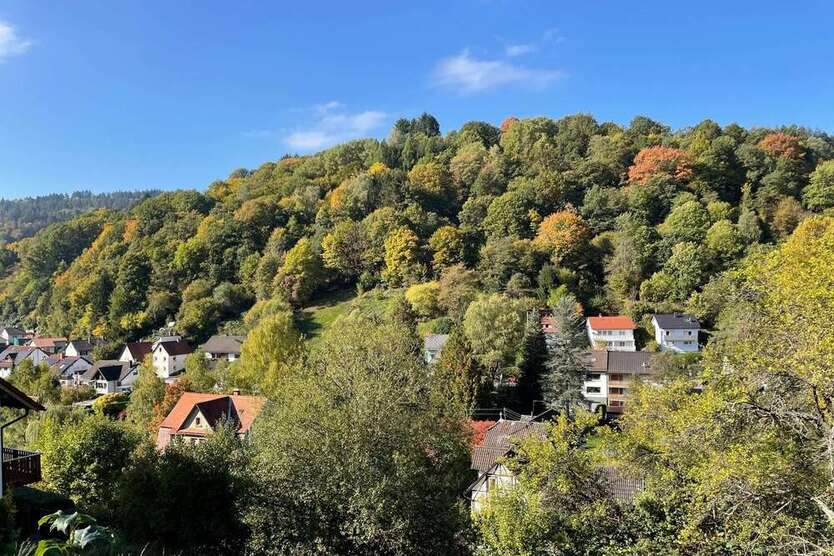 Grundstück zu verkaufen in Schönau 78.500 € 728 m²