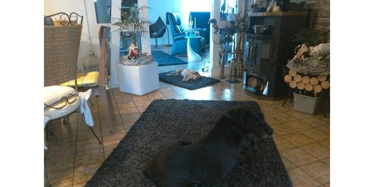 Einfamilienhaus Bad Dürkheim - 6 Zimmer, 112 m&sup2;, 575.000&euro; | Angebot:25334726