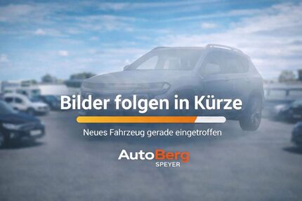 Renault Megane 213.380 km 1.999 &euro; Speyer 67346