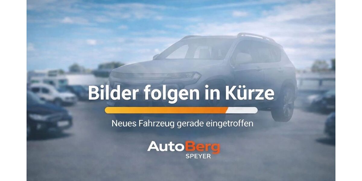 Renault Megane 213.380 km 1.999 &euro; Speyer 67346