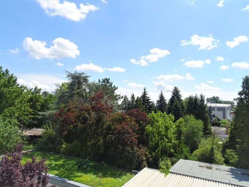 Wohnung zum Kaufen in Viernheim 335.000 € 143 m²