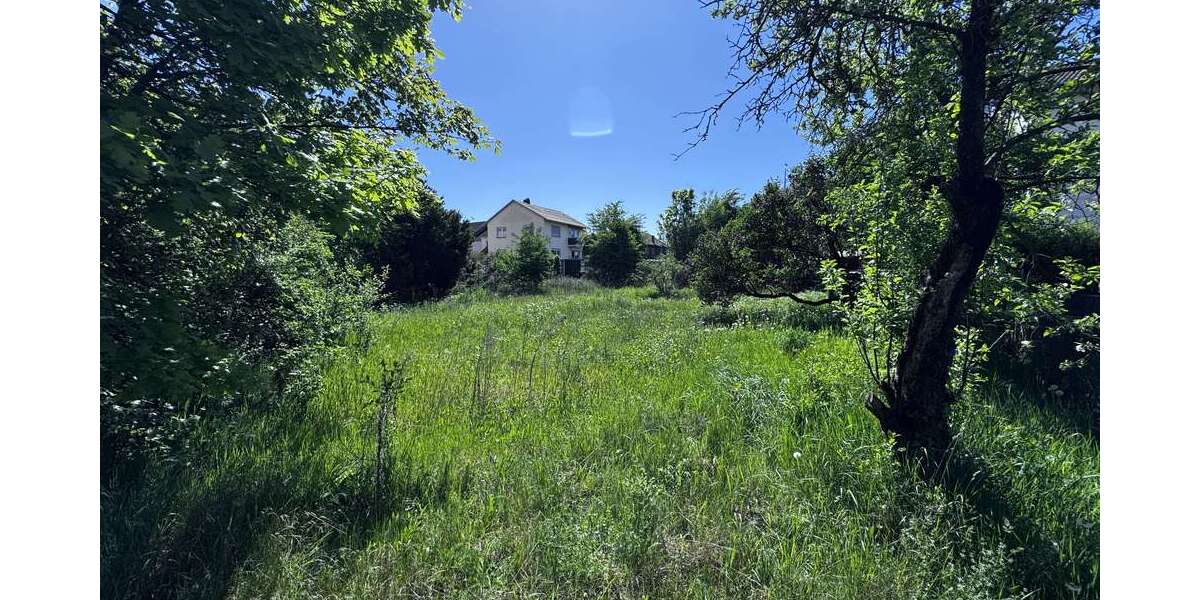 Grundstück Zwingenberg - 650.000&euro; | Angebot:27347598