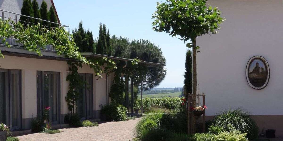 Wohnen auf Zeit in Wachenheim an der Weinstraße 800 € 1 zimmer