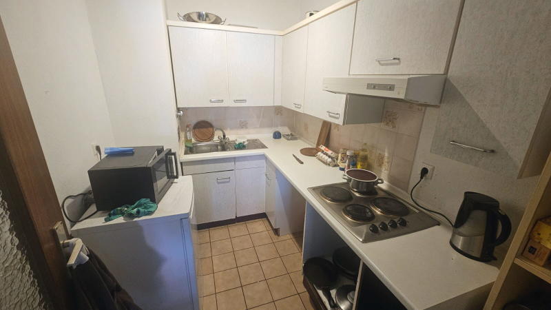 ObjNr:19034 - frisch saniertes Apartment in ruhiger Randlage von Ludwigshafen Edigheim 1 zimmer