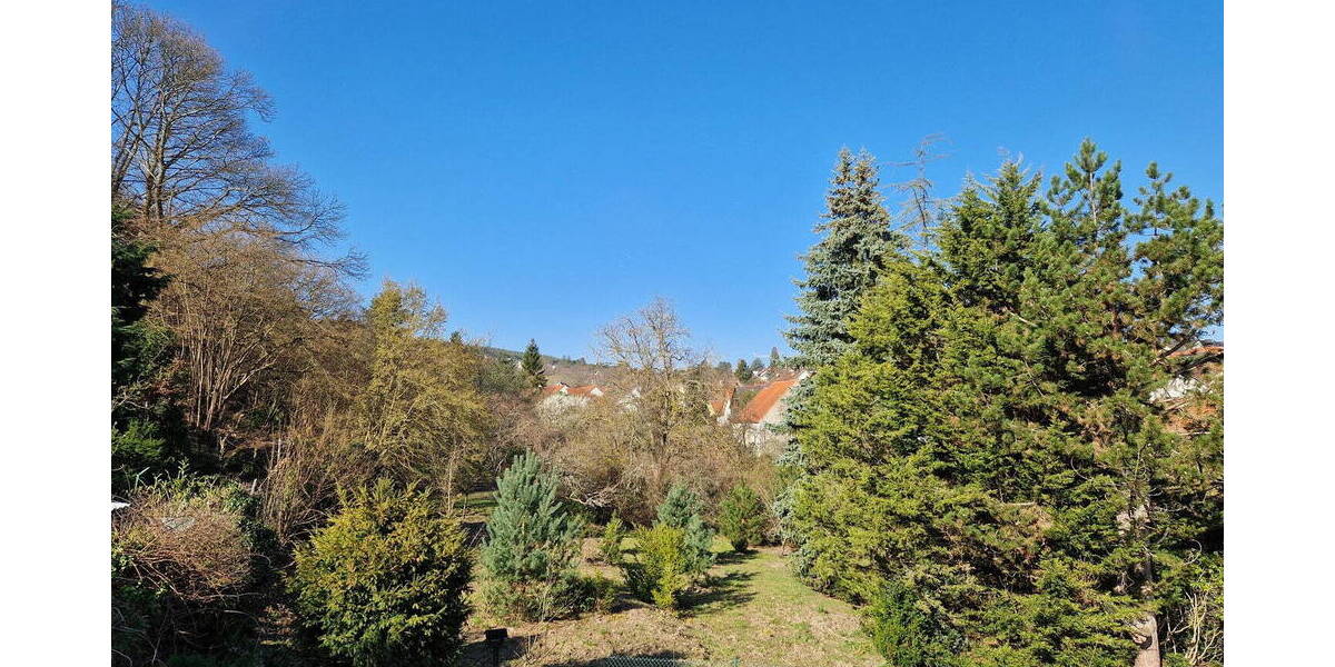 Mehrfamilienhaus, Wohnhaus Bad Dürkheim - 5 Zimmer, 156 m&sup2;, 1.800&euro; | Angebot:26204183