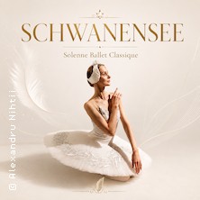 Schwanensee - Solenne Ballet Classique 31.10.2026 Kulturhaus Mannheim-Käfertal