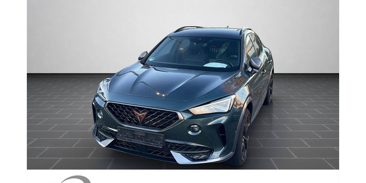 Cupra Formentor 96.420 km 23.400 &euro; Ladenburg 68526