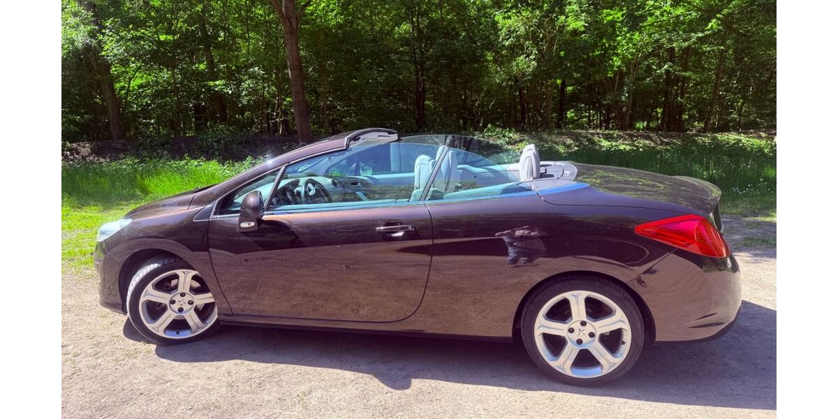Peugeot 308 134.300 km 5.500 &euro; Worms 67547