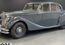 Jaguar Andere